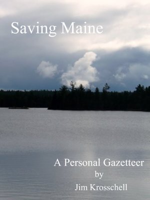 cover image of Saving Maine